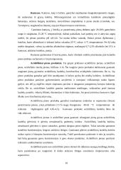 Mikrobiologija raugintuose pieno produktuose 10 puslapis