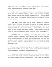 Rinkimai ir rinkimų sistemos (referatas) 2 puslapis