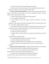 Rinkimai ir rinkimų sistemos (referatas) 17 puslapis