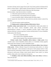 Rinkimai ir rinkimų sistemos (referatas) 19 puslapis