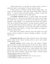 Rinkimai ir rinkimų sistemos (referatas) 5 puslapis