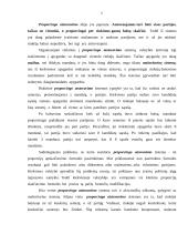 Rinkimai ir rinkimų sistemos (referatas) 6 puslapis