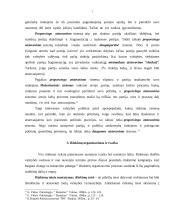 Rinkimai ir rinkimų sistemos (referatas) 7 puslapis