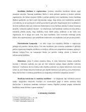 Rinkimai ir rinkimų sistemos (referatas) 9 puslapis