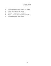 Sandorių negaliojimas ir jų pasekmės 19 puslapis