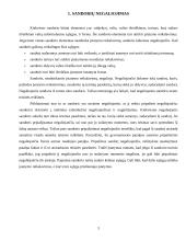 Sandorių negaliojimas ir jų pasekmės 3 puslapis