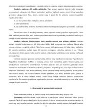 Sandorių negaliojimas ir jų pasekmės 8 puslapis