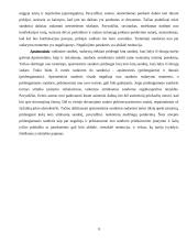 Sandorių negaliojimas ir jų pasekmės 9 puslapis