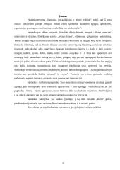 Santuokos galiojimas ir teisinė reikšmė 3 puslapis