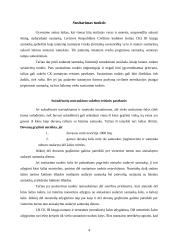 Santuokos galiojimas ir teisinė reikšmė 4 puslapis