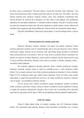 Santuokos galiojimas ir teisinė reikšmė 5 puslapis