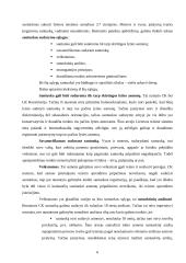 Santuokos galiojimas ir teisinė reikšmė 6 puslapis