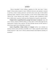 Santuoka. Jos sudarymo sąlygos ir tvarka 3 puslapis