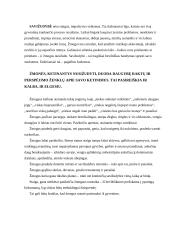 Savižudybė kaip išeitis 3 puslapis