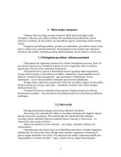 Savo asmenybės veiklos motyvacijos analizė 4 puslapis