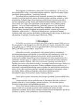 Savo asmenybės veiklos motyvacijos analizė 7 puslapis