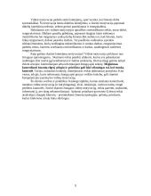 Savo asmenybės veiklos motyvacijos analizė 10 puslapis