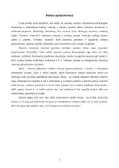 Socialinės psichologijos fenomenai: meilė 4 puslapis