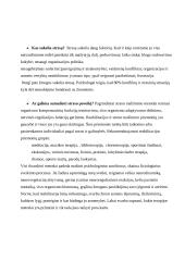 Stresas, streso faktoriai 5 puslapis