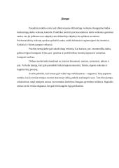 Streso samprata 2 puslapis