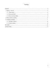 Streso įtaka sveikatai 2 puslapis