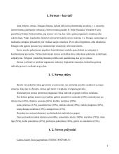 Streso įtaka sveikatai 4 puslapis