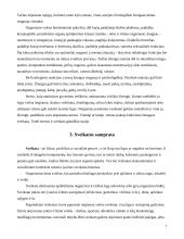 Streso įtaka sveikatai 7 puslapis