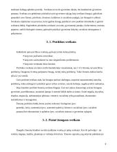 Streso įtaka sveikatai 8 puslapis