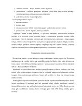 Stresas bei sveikata 6 puslapis