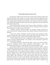 Šeimai palankios politikos įgyvendinimas 4 puslapis
