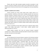 Šeimos teisės samprata 11 puslapis