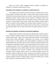 Šeimos teisės samprata 12 puslapis