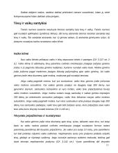 Šeimos teisės samprata 13 puslapis