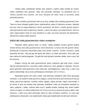 Šeimos teisės samprata 15 puslapis