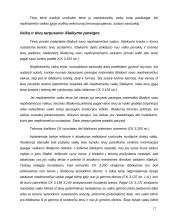 Šeimos teisės samprata 17 puslapis