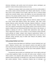 Šeimos teisės samprata 19 puslapis