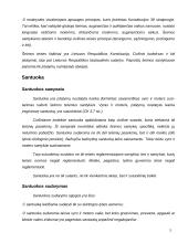 Šeimos teisės samprata 3 puslapis