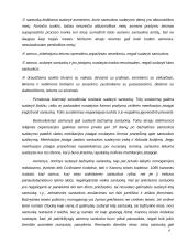 Šeimos teisės samprata 4 puslapis