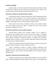 Šeimos teisės samprata 7 puslapis