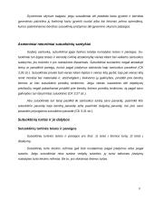 Šeimos teisės samprata 9 puslapis