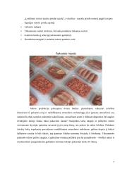 Šviežia mėsa 7 puslapis