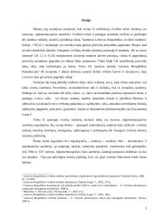 Tariamieji ir apsimestiniai sandoriai 3 puslapis