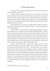 Tariamieji ir apsimestiniai sandoriai 4 puslapis