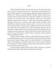 Tarptautinė kriminalinės policijos organizacija – Interpolas 2 puslapis