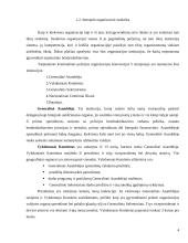 Tarptautinė kriminalinės policijos organizacija – Interpolas 4 puslapis