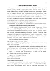 Tarptautiniai dokumentai reglamentuojantys esmines žmogaus teises ir laisves 2 puslapis