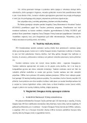 Tarptautiniai dokumentai reglamentuojantys esmines žmogaus teises ir laisves 7 puslapis