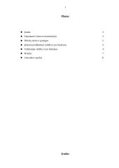 Tarpukario Lietuvos Konstitucijos 2 puslapis
