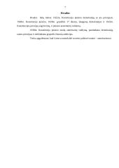 Tarpukario Lietuvos Konstitucijos 8 puslapis