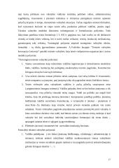 Teisinės valstybės samprata remiantis Lietuvos teisininkų darbais 15 puslapis